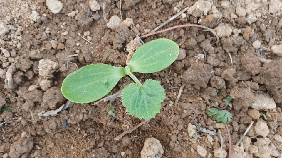 275633187_1865511166967635_7252009880705038724_n.j