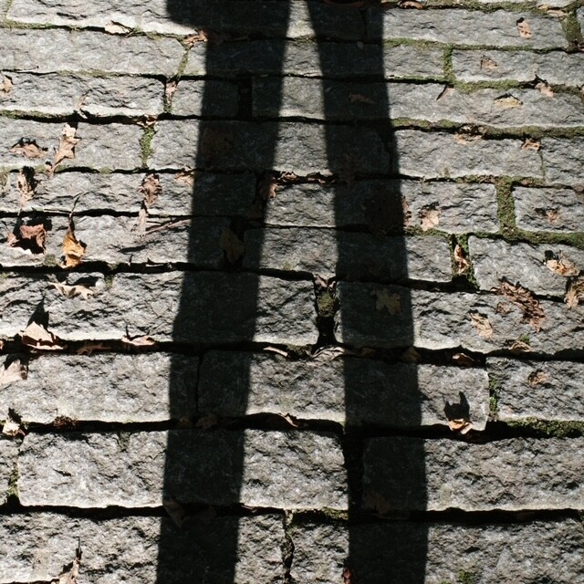 R0000780.JPG