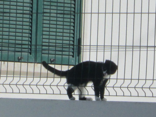 IMG_4743.JPG IMG_4743.JPG