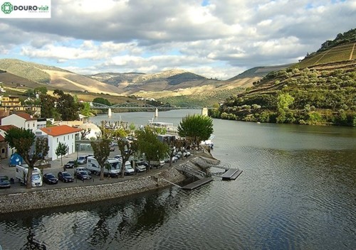 VINHAS DOURO - BLOG.jpg