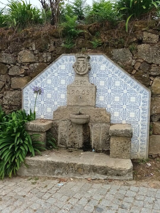 Não me canso disto Trail 2.jpg