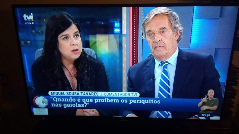 Inês e Miguel.jpg Inês e Miguel.jpg