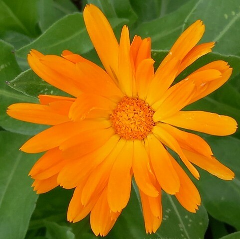 341119539_959894282036635_1076957796438930987_n.jp