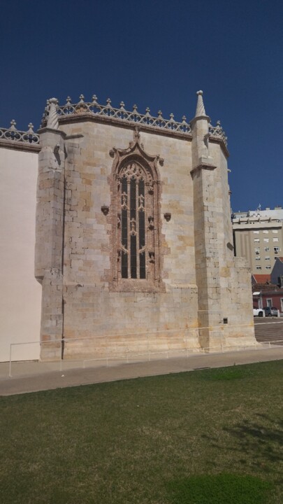 IMG_20221011_133622.jpg