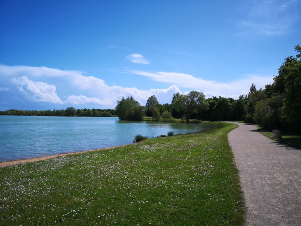 IMG_20190508_160755.jpg