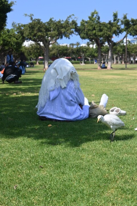 Não me canso disto gentes2.JPG