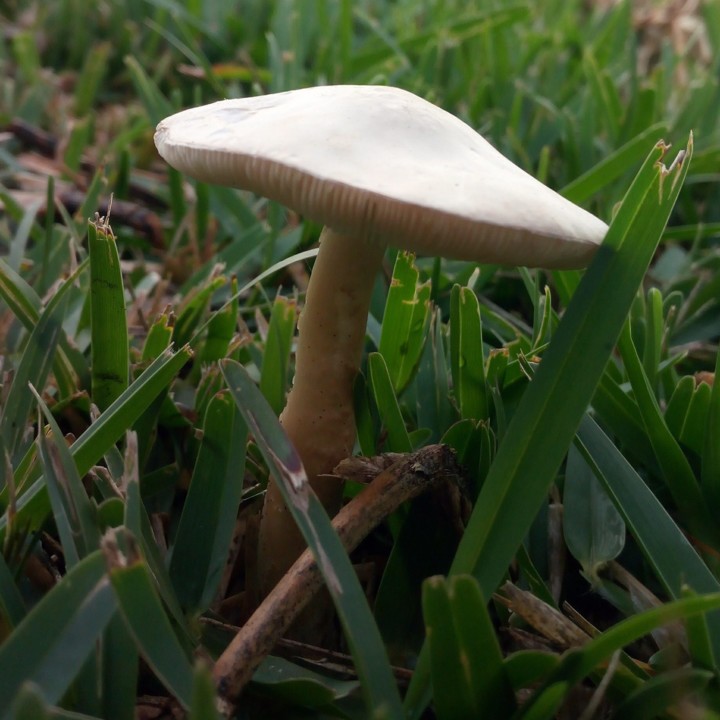 20191027_081915.jpg