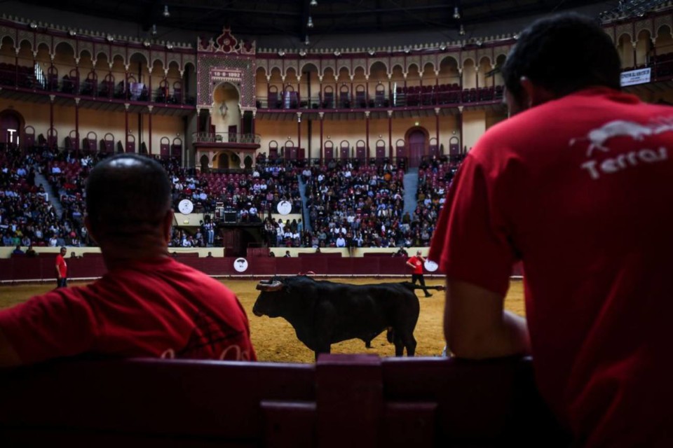 TOROS1560868236_101781_1560868694_noticia_normal_r TOROS1560868236_101781_1560868694_noticia_normal_r