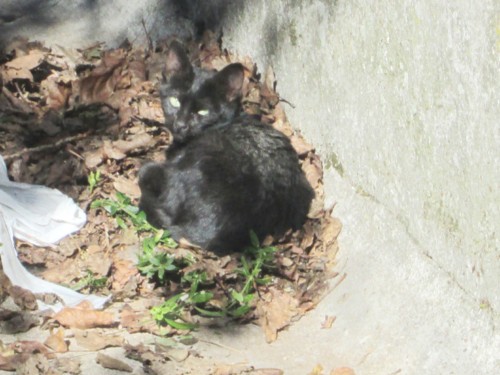 IMG_5035.JPG IMG_5035.JPG