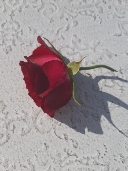 20190418_092535.jpg