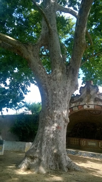 WP_20190608_10_26_56_Pro.jpg