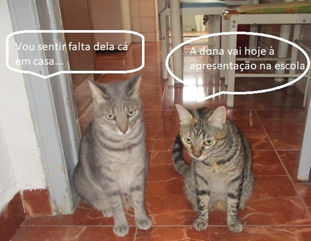 IMG_0046 - Cópia.JPG