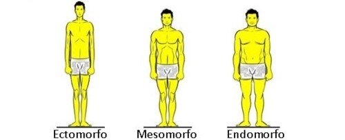 biotipo.jpg