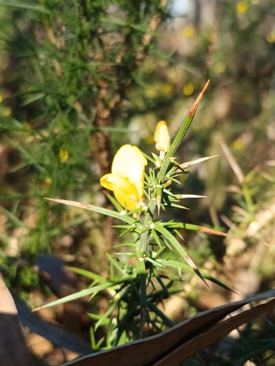 Não me canso disto inverno 3.jpg