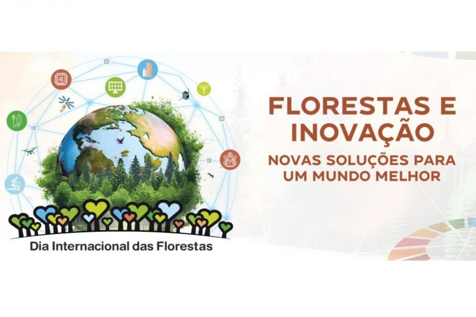 dia internacional das flores.jpg