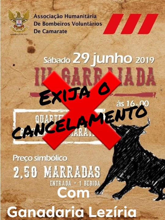 bOMBEIROS65007350_2768873703142667_157726747749724 bOMBEIROS65007350_2768873703142667_157726747749724