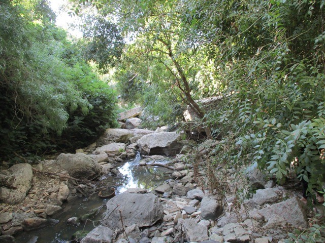 222071638_4098366376945303_4636325447374677020_n.j