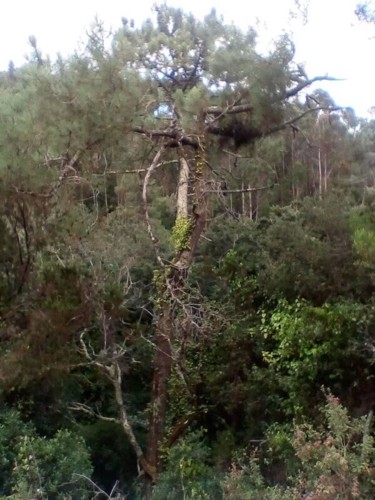 37642139_1738132126302085_1109971977675735040_n.jp