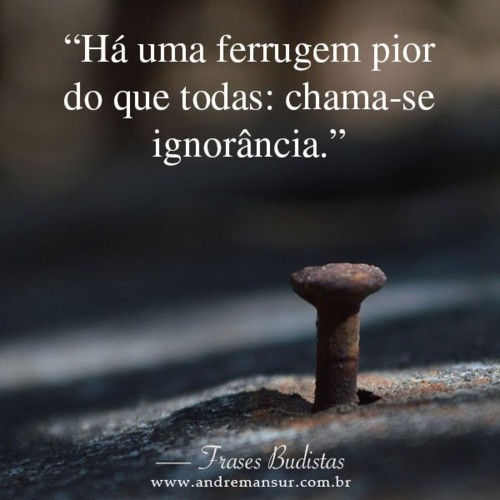 IGNORÂNCIA.jpg IGNORÂNCIA.jpg