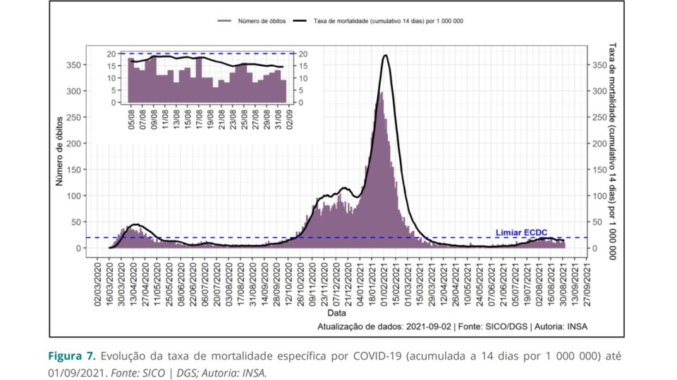 grafico.jpg