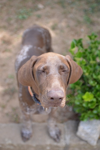 DSC_0013.JPG