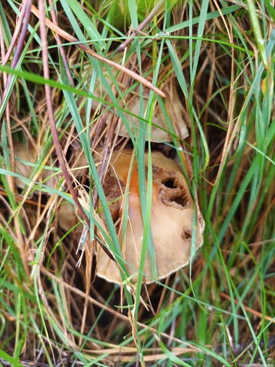 Não_me_Canso_disto_2022_12.jpg