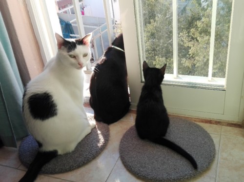 IMG_20181021_181747 (2).jpg