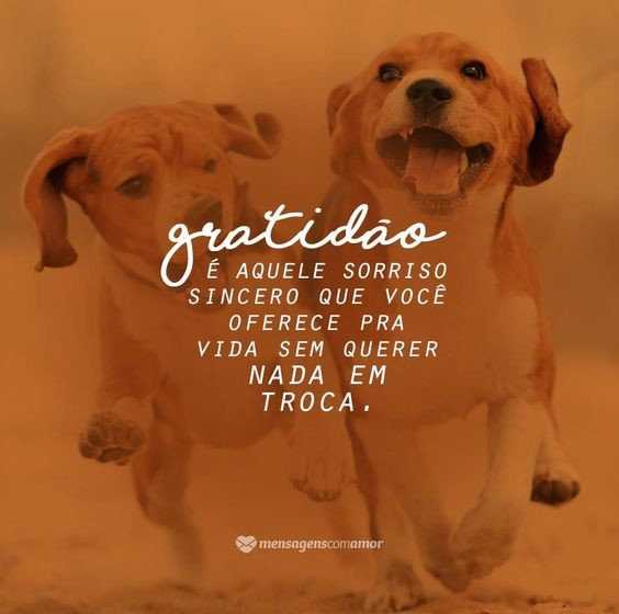 gratidao.jpg