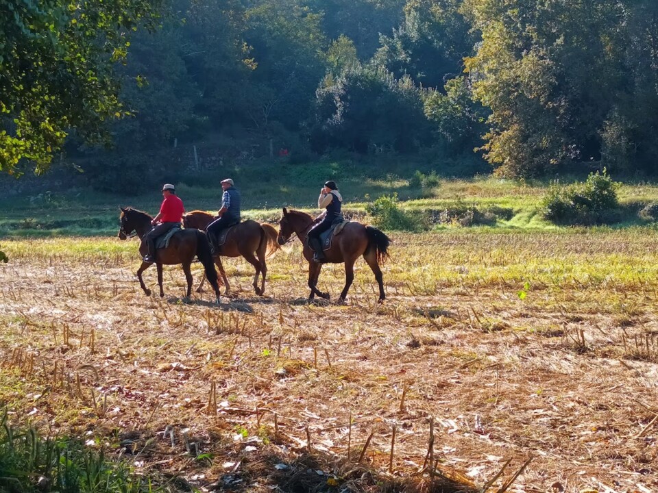 Não me canso disto mosteiro93.jpg