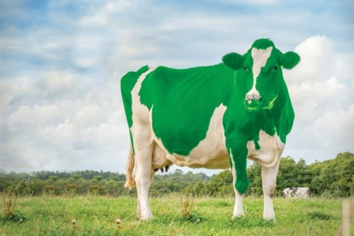 green_cow.jpg green_cow.jpg