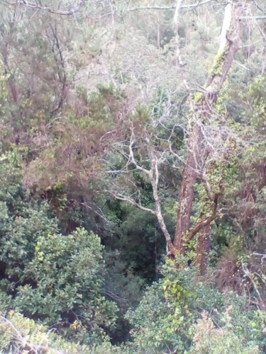 37556836_1738132239635407_3431279497675014144_n.jp