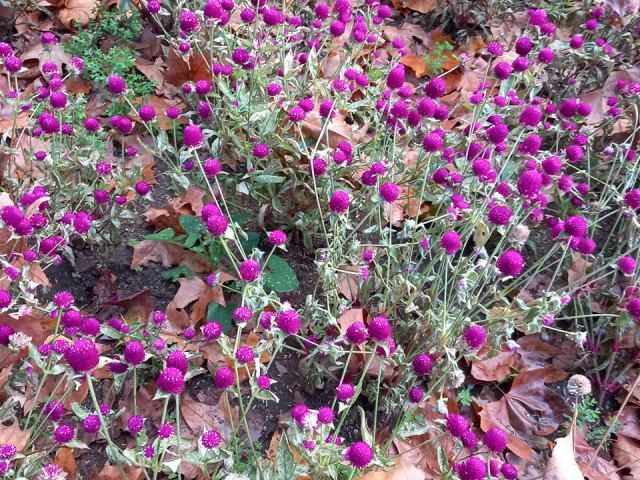 259357186_1787470324780713_802809396605777244_n.jp