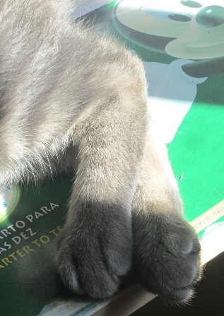 43462812_2229576823981116_7335975880130297856_o.jp