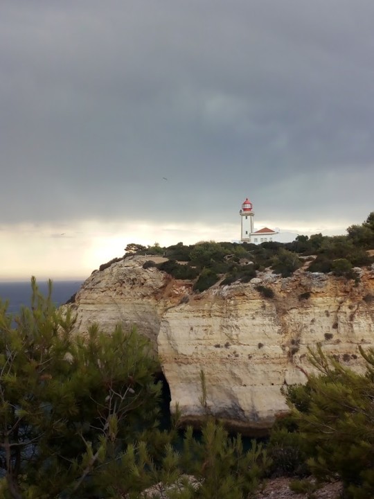 NãoMeCansoDisto_carvoeiro4.jpg