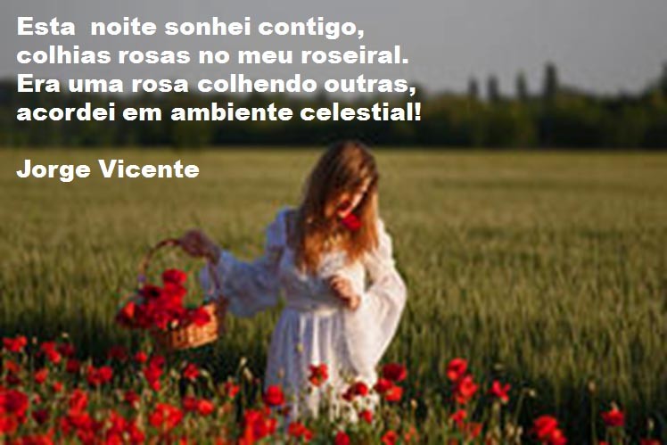 Esta noite....jpg Esta noite....jpg