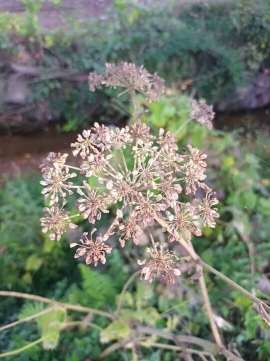 Não me canso disto mosteiro3.jpg