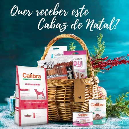 Cabaz-de-Natal2.jpg