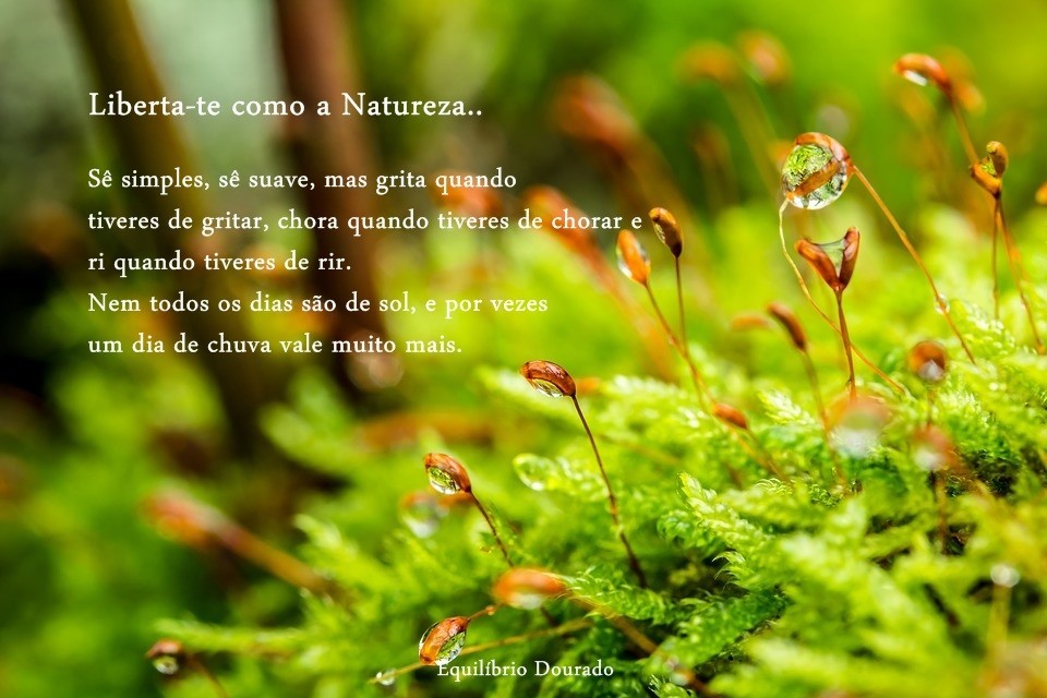 naturezaaaaa.jpg