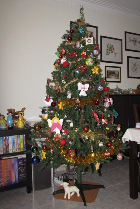 IMG_7009.JPG IMG_7009.JPG