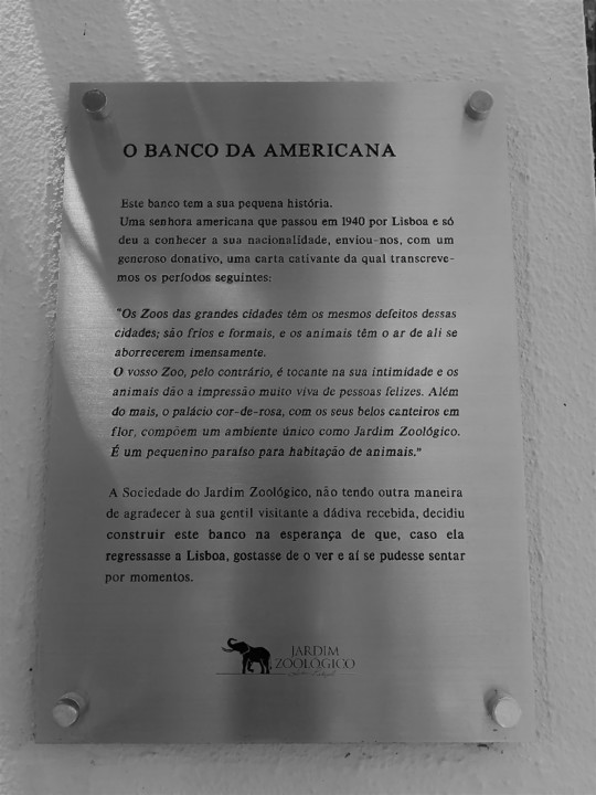 o banco da americana.jpg