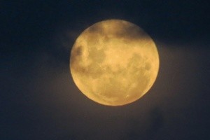 eclipse-lunar-penumbral-visto-de-itapema-sc-148680