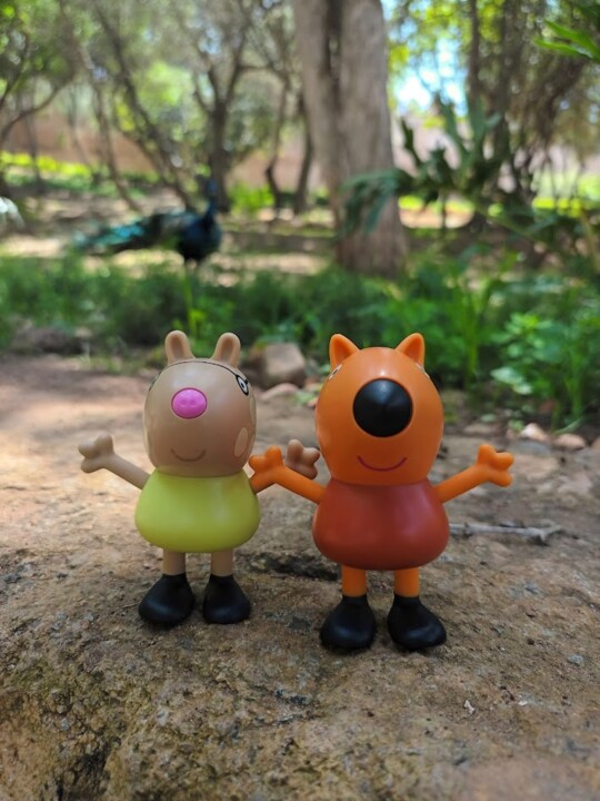 Não me canso disto viagem9d.jpg