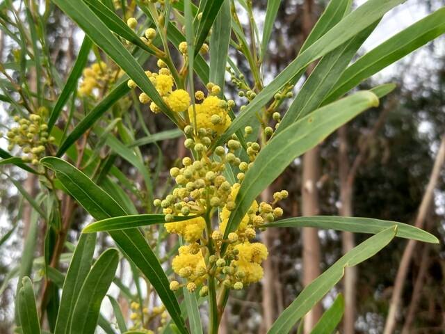 331915962_1320545868491497_8061822410355803440_n.j