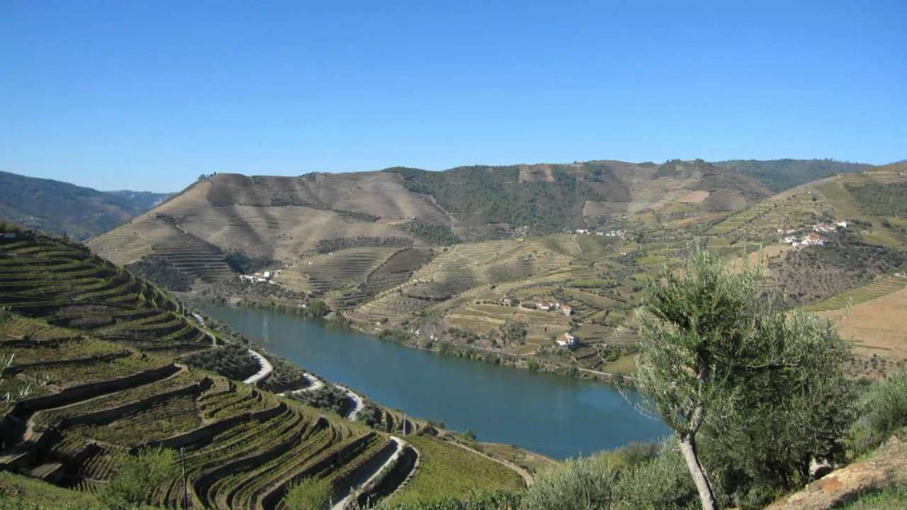 Roteiro pelo douro: onde dormir, comer e beber ao longo do 