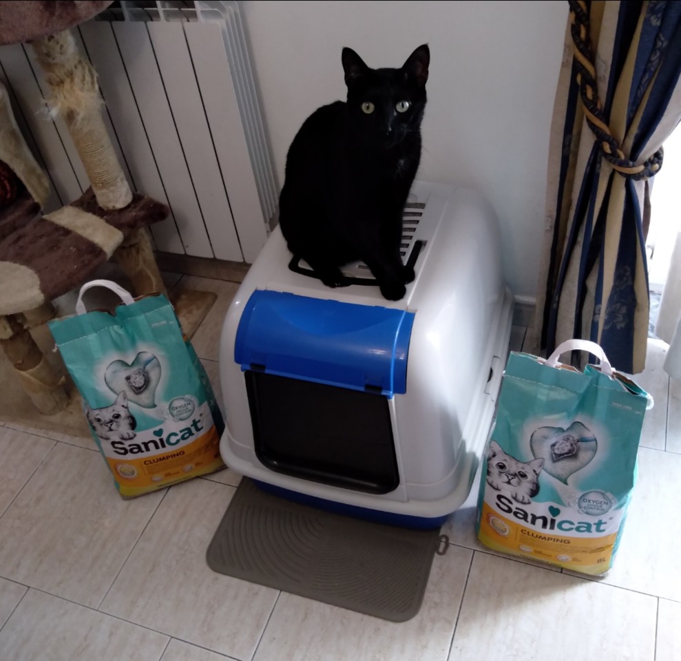 SquarePic_20201110_16114256.jpg SquarePic_20201110_16114256.jpg