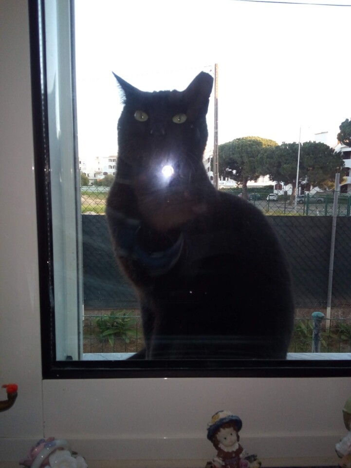 Olhos de Água, Algarve – (c) 2022