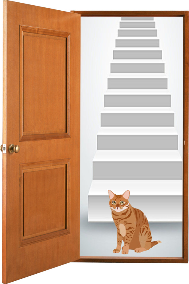 asvaenturasdmatinais.jpg asvaenturasdmatinais.jpg