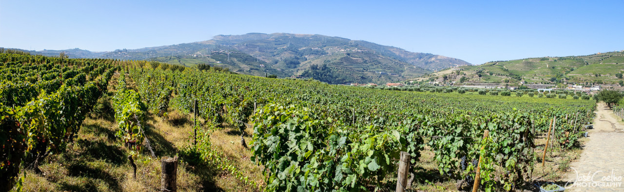 QUINTA DA PACHECA DOURO LAMEGO (14).jpg QUINTA DA PACHECA DOURO LAMEGO (14).jpg