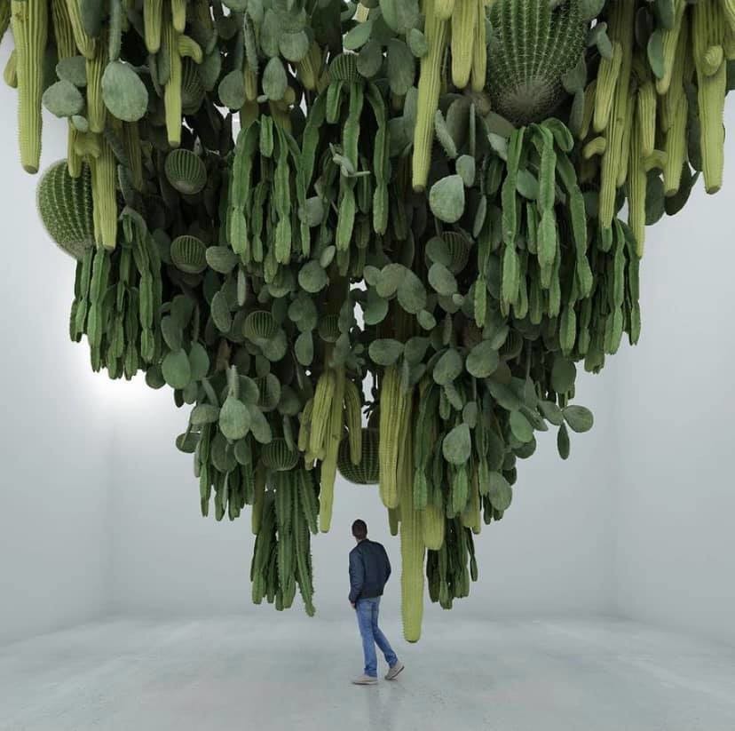 128751136_227116785451987_6793060549109547842_n.jp