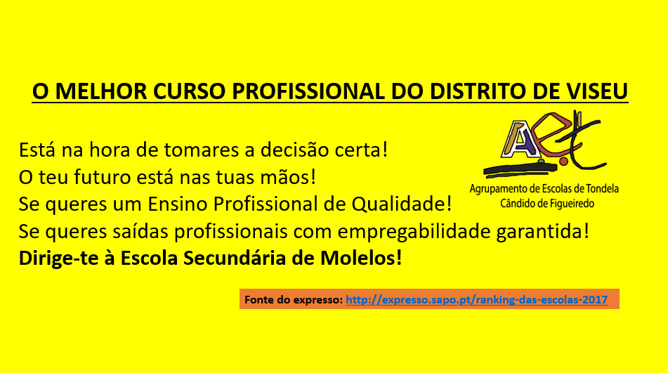 CURSO PROFISSIONAL.png